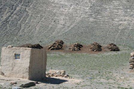 tas de bouses l'hiver va être rude