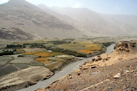 champs en Afghanistan