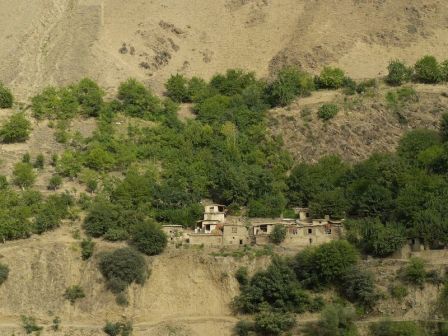 Village_Afghan.jpg