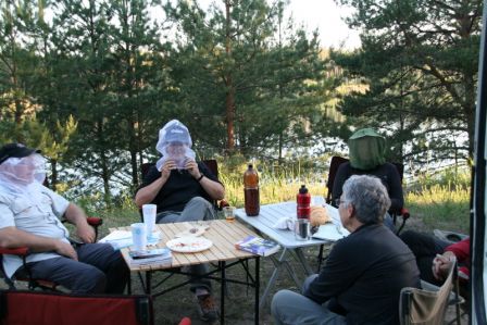 moustiqueux.JPG