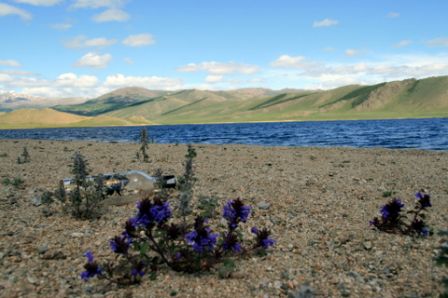 une_bouteille_au_lac.JPG